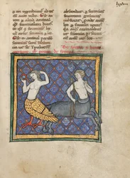 En siren och en centaur